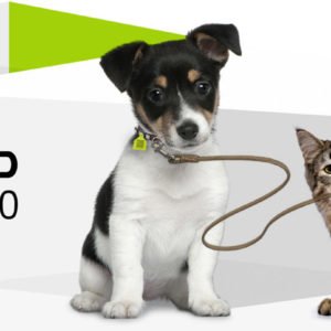 Chip4Pet es un sistema integral de tenencia responsable de mascotas